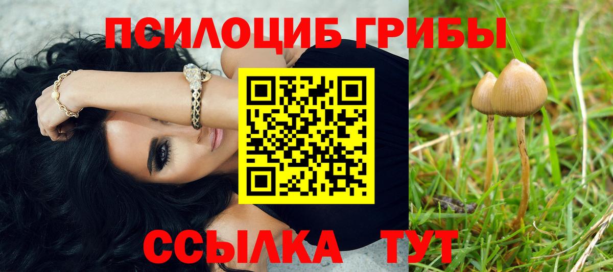 Галлюциногенные грибы мухоморы  Вход с VPN  Орехово-Зуево 